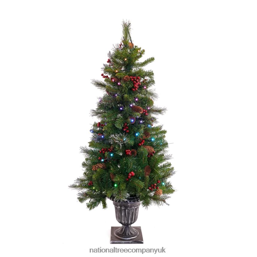 Trees | National Tree Company 4 ft Crestwood Spruce Entrance Tree with Twinkly LED Lights F2L4F130